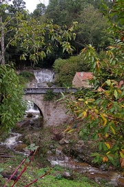 Toussaint_2008_en_corse_de_linterie