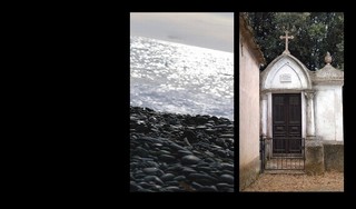 Grains_de_caf_dans_la_lumirelnigm_2