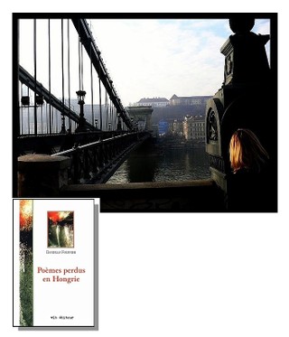 Poèmes perdus en Hongrie Chainbridge_budapest_2