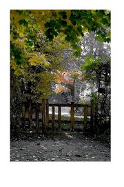 Le_portail_de_la_maison