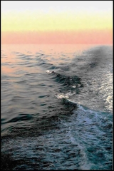 2_la_mangeuse_de_mauves_