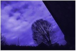 Les paysages abondants nous ont laissé un goût amer sur les lèvres 4_les_paysages_abondantsjpg_1