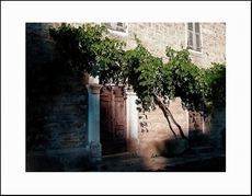 A_pergula_di_zia_madalena_in_rezza_2003_1