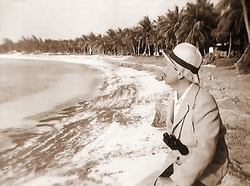 Asaintjohnperseauxbahamasauxenvironsde19