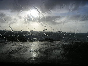 Bacon/Prozac Bacon_prozac