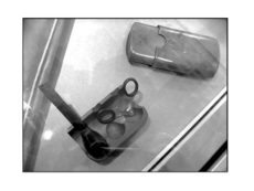 Exposition Giorgio Bassani : Le Jardin des livres. Bassani_4