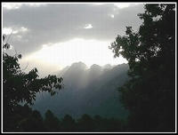 éblouie par la lumière Blouie_par_la_lumire