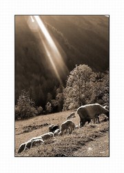 Celui_qui_sen_va_vers_la_mort_dans_la_lu