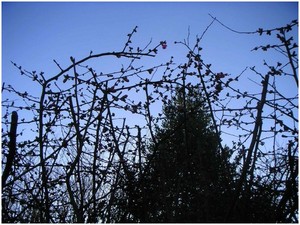 Ciel bleu déchiré Ciel_bleu_dchir