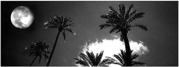 Clair_de_lune_oriental