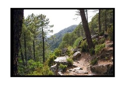 Dans_les_montagnes_de_mon_le1_1