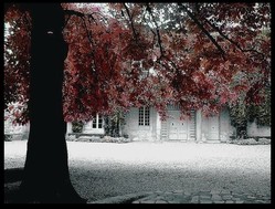 La cour interieure du château du duché d'Uzès en octobre La_cour_interieure_du_duch_duzes_octobre