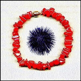 La_dentelle_de_son_toile_orange_et_noire