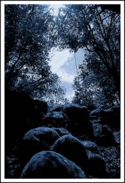 La nuit où nous sommes La_nuit_o_nous_sommes_1