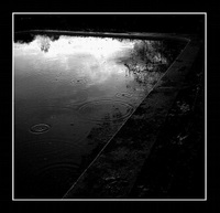 La pluie est engourdie La_pluie_est_engourdie