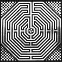 Labyrintheamiens