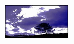 Laisse faire les nuages Laisse_faire_les_nuages