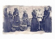 Laquelle_est_lane_laquelle_est_la_plus_j