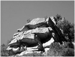 Le chemin des signes Le_chemin_des_signes