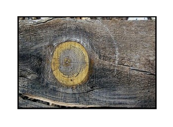 Le_passeur_de_mlancolie_013