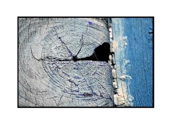 Le_passeur_de_mlancolie_x