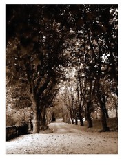 le vide des pas ... sous les fibres de l'image Le_vide_des_pas__sous_les_fibres_de_lima