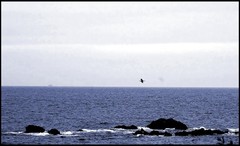 Les eaux ont des visages Les_eaux_ont_des_visages