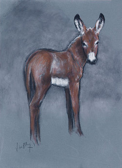 Manfarinu, II Manfarinu_02