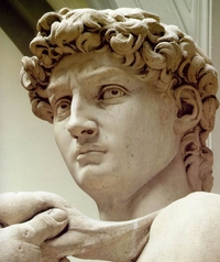 Michelangelo_david_detail