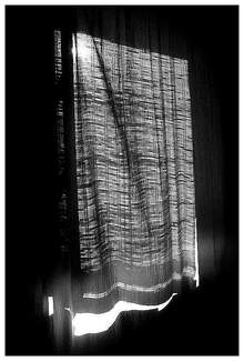 Nous n'avons plus besoin d'images déchirantes pour aimer Nous_navons_plus_besoin_dimages_dchirant