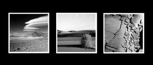 Ocresborgnesaridessourdslourdsnoirs