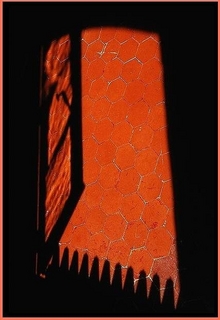 Ouvrir tout grand pour accueillir la lumière Ouvrir_tout_grand_pour_accueillir_la_lum