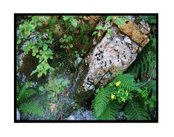 Parce que c'est la pierre parce que c'est l'eau Parce_que_cest_la_pierre_parce_que_cest_