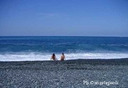 Plage_dalbu_le_dos_1