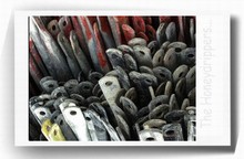 Polaroid_03_mandibules