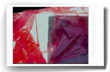 Polaroid_08_lancement