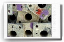 Polaroid_12_alvolaires_