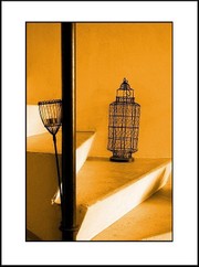 Rage d'or prisonnière dans sa cage Rage_dor_prisonnire_dans_sa_cage__angle_