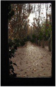 Regardez-vous tomber la pluie derrière votre vitrage ? Regardezvous_tomber_la_pluie_derrire_vot