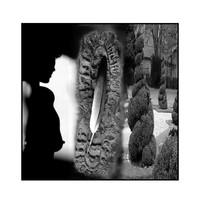 Seul_refuge_dans_les_buis_1_niveau_excrm