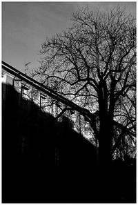 Si grand soleil tombé sur nous comme un fagot Si_grand_soleil_tomb_sur_nous_comme_un_f_1