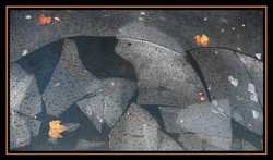 Tant_le_froid_est_vif_1