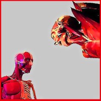 Tête membre tronc Tte_membre_tronc