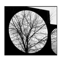 Un grand cercle autour de ce curieux patronyme Un_grand_cercle_autour_de_ce_curieux_pat