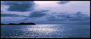 Un paysage surgit des eaux Un_paysage_surgit_des_eaux