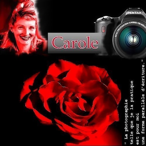 Carole Darricarrère